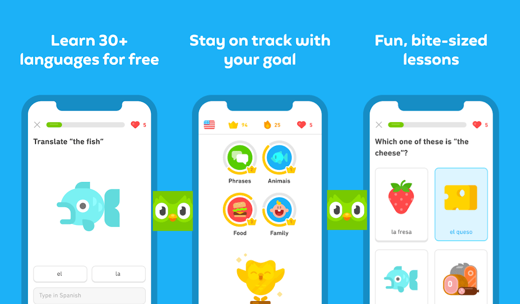 Cost to Develop an App like Duolingo
